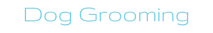 Custom Neon: Dog Grooming